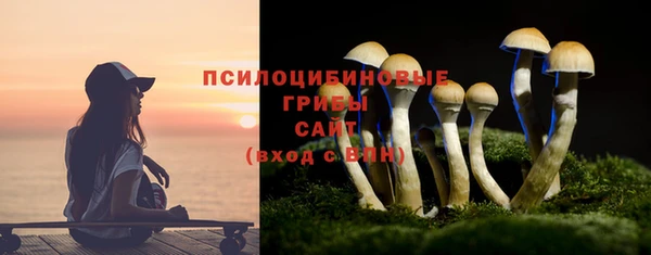 меф Бородино