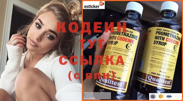 ГАЛЛЮЦИНОГЕННЫЕ ГРИБЫ Заполярный