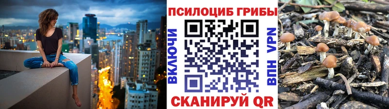 Галлюциногенные грибы ЛСД  OMG как зайти  Мыски 